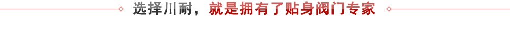 上海川耐 - 專(zhuān)業(yè)閥門(mén)生產(chǎn)廠(chǎng)家